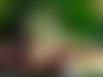 Grilled Cilantro Lime Chicken with Avocado Salsa