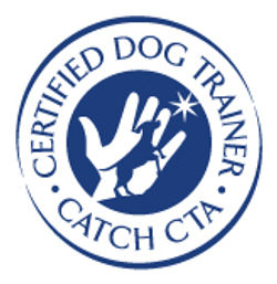 Certified Dog Trainer CATCH-CTA