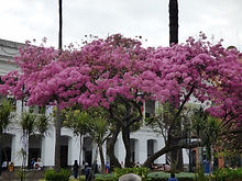 Quito