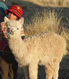 Peru adventure 2017