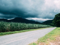 Fire Dose🔥

Glory in Tribulation - Romans 5:3