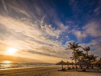 Fire Dose 🔥

God is A Wonder - Psalms 104:24