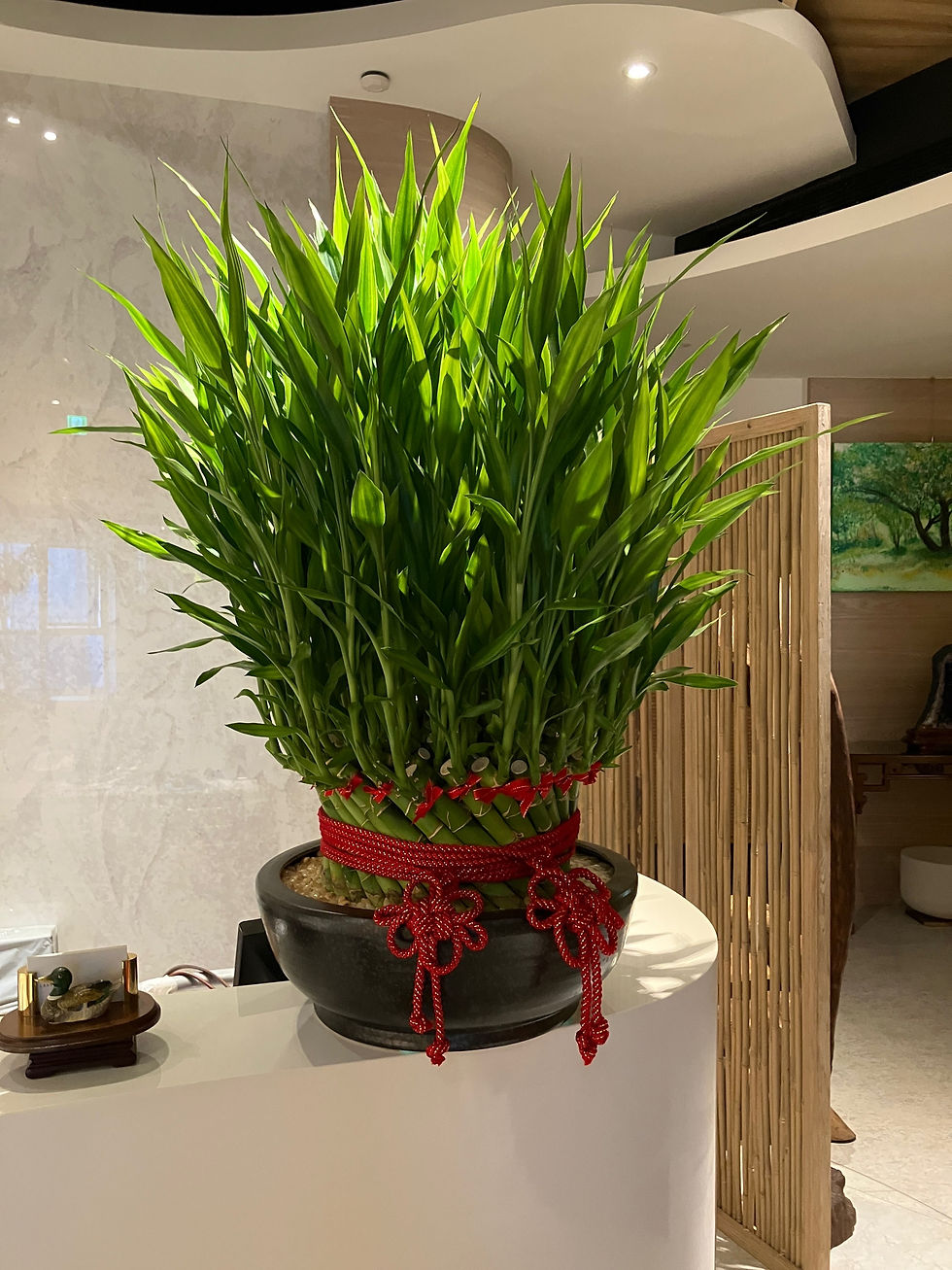 縮圖：開運竹