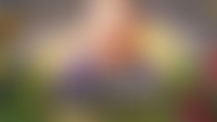 IPS 2 2019 Day 1F Coronese and his Crown