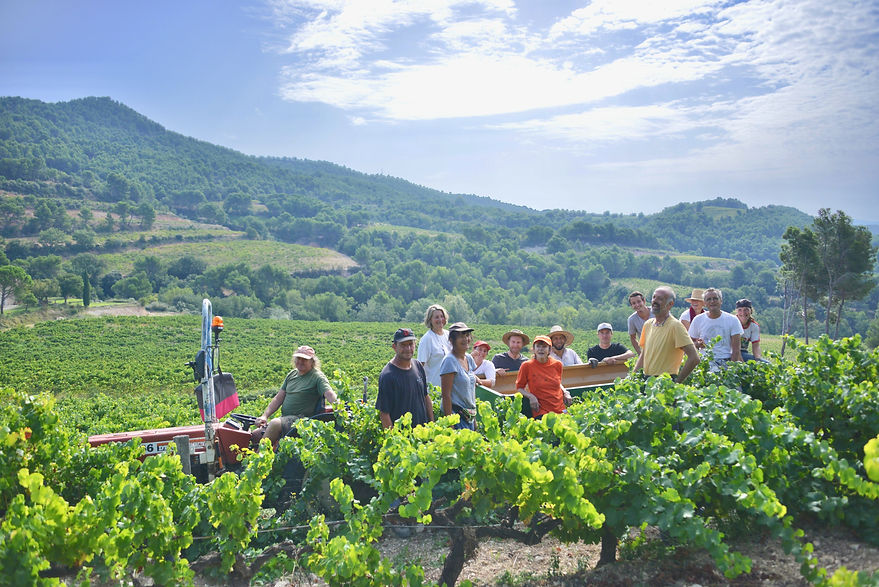 Henri Bungener et l'équipe des vendangeurs dans une parcell de Clos de Caveau et une vue derrière eux sur le vallon du Clos