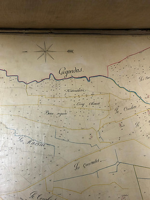 Old map of the individual plots of vines in Vacqueyras and Gigondas