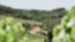 Le Clos de Caveau entouré de ses vignes et les collines des Dentelles de Montmirail
