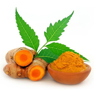Healthy Ingredients for a healthy product. Turmeric Powder. Antioxidants.