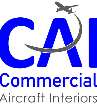 CAI Logo_Vertical_JPG Format_edited.jpg