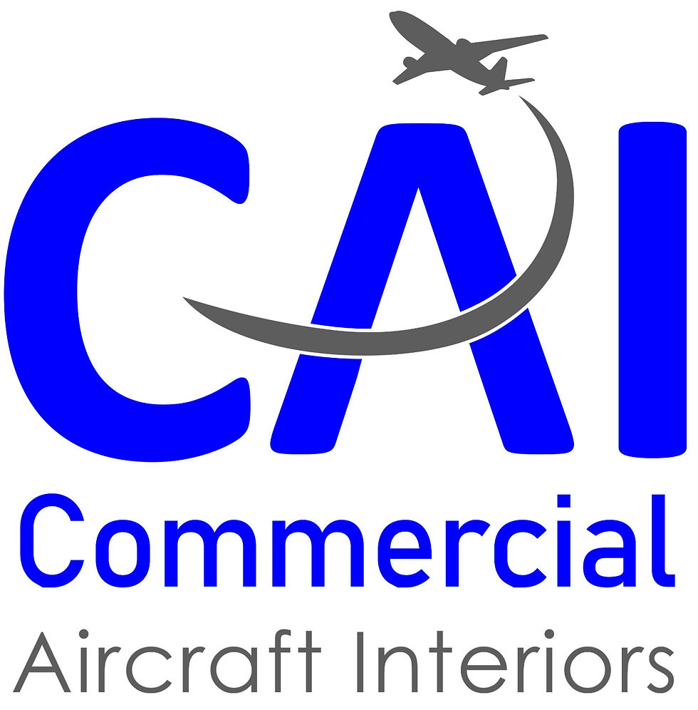 CAI Logo_Vertical_JPG Format_edited
