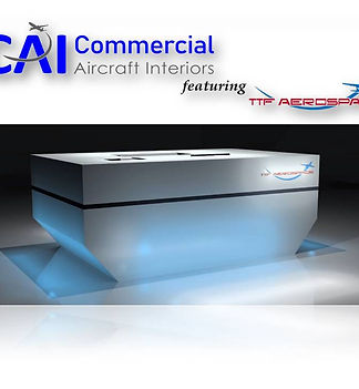 Sample Combined Logo 04292020_1B.jpg