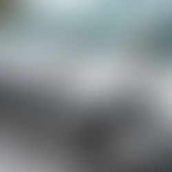 Fleet of Commercial Vans