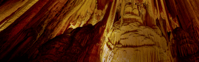 3 - 800x250_ELDORADO.gif