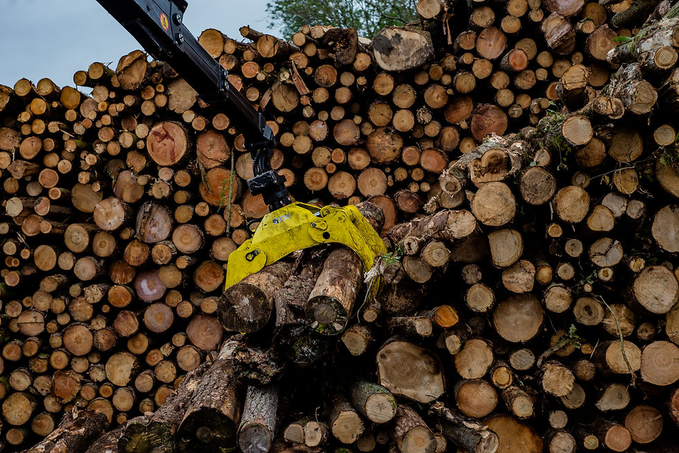 ACS Timber