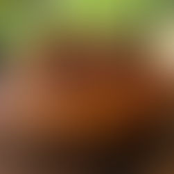 Pão de Linguiça e Gorgonzola