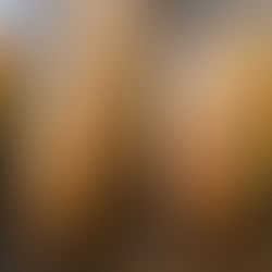 Baguete de Parmesão