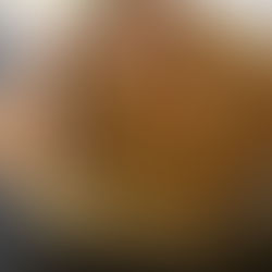 Meu Primeiro Pão com Levain