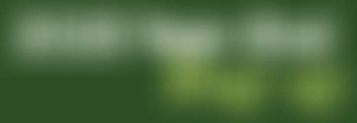 Year 2025 Review: Home Instead Rhode Island Year-end Wrap-up