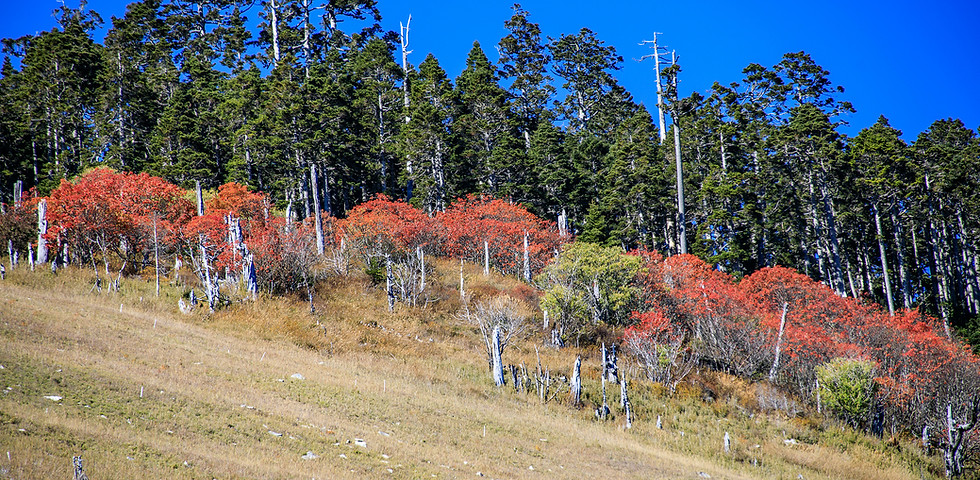 SyueMountain.jpg