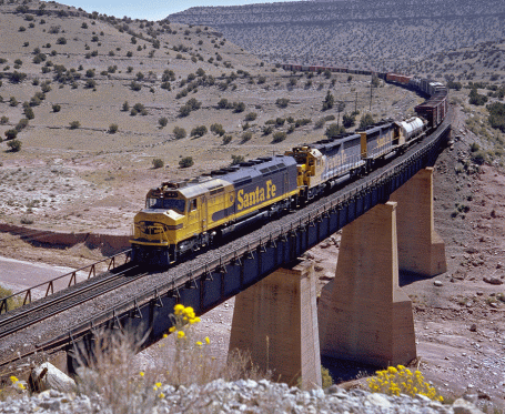 sf5943-sais-81