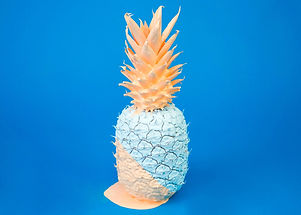 Tropic_edited_edited.jpg