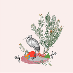 Illustration animal végétal