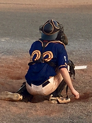 Brewers_catcher.png