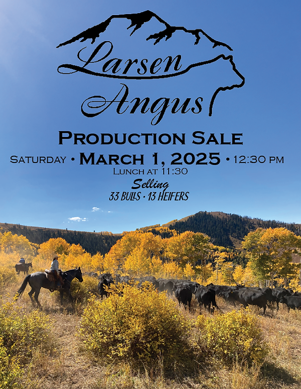 Website Version-Larsen Angus 2025 Sale Catalog.png