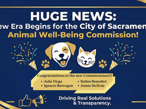🎉 HUGE NEWS: A New Era Begins for the Animal Well-Being Commission! 🎉