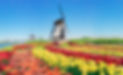 Radreise Niederlande