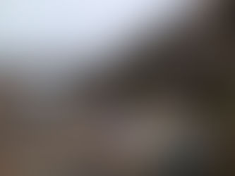 Scaffolding going up.Placefirst site up and running. SandBlasting and Stone Repointing.