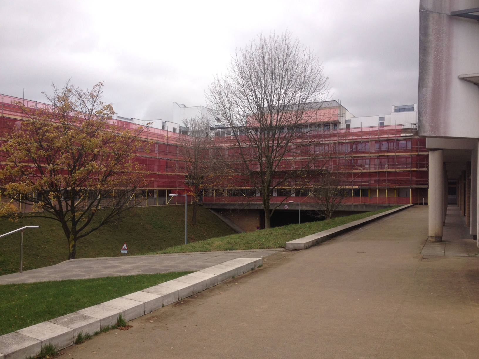Lancaster University Lime Pointing