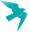 Falcon_Transparant Logo_teal_edited_edited_edited.png