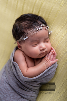 Newborn photographer in lansing michigan