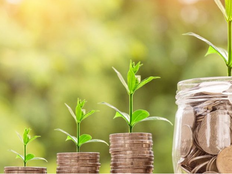 Investment: Guide for beginners