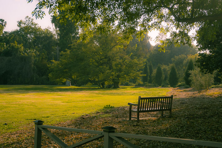 Disco's Landscape.jpg