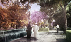 The Urban Project