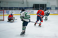Hockey1.png