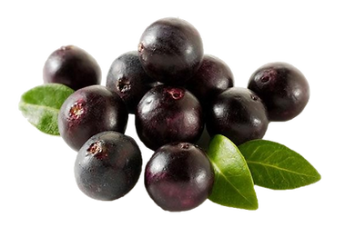 açai_png.png