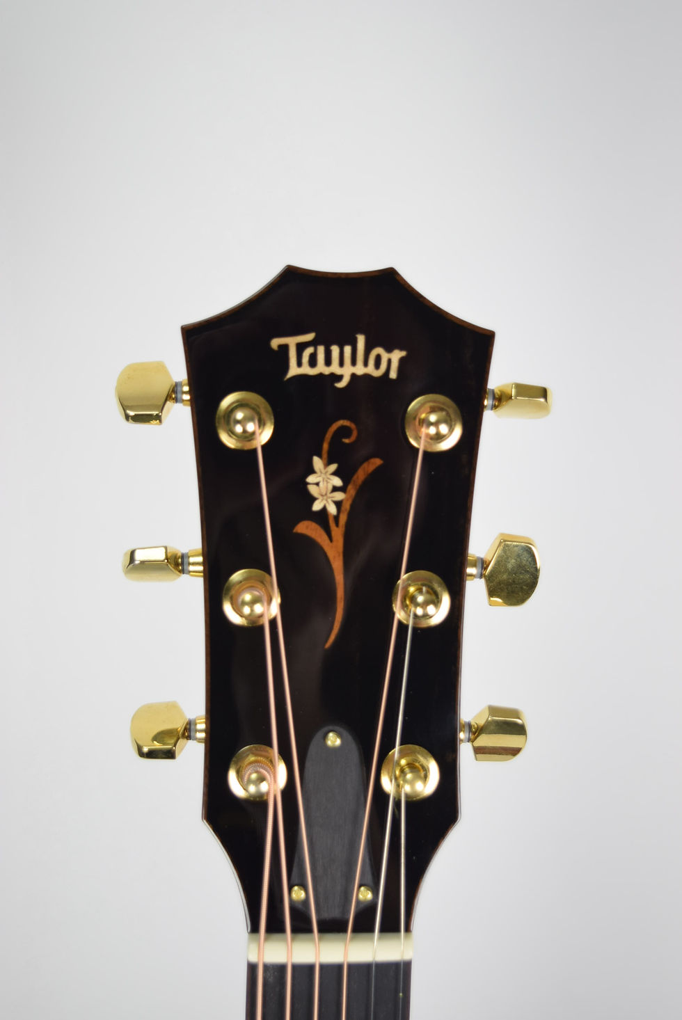 Thumbnail: K26ce - Taylor