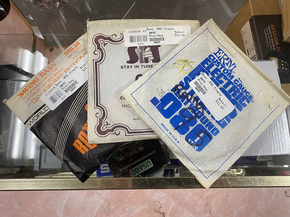 B095 Bass Single String (.095) : MISC