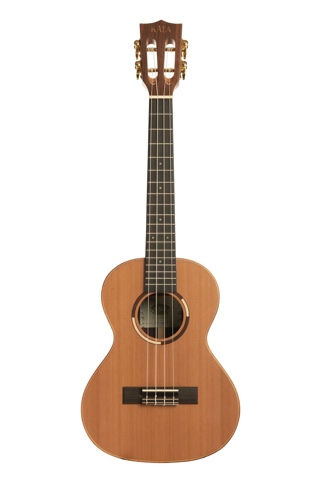 KA-ASCP-T All Solid Cedar Top Pau Ferro Tenor Ukulele : Kala
