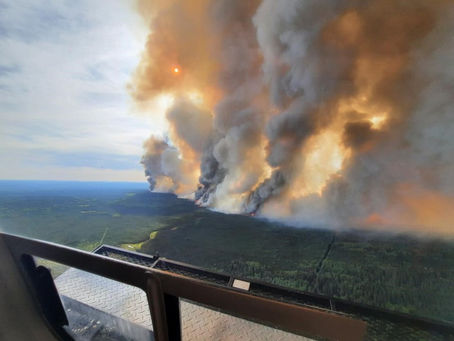 Safeguarding Canada's Forests: Essential Fire Safety Tips For Wildfire Season