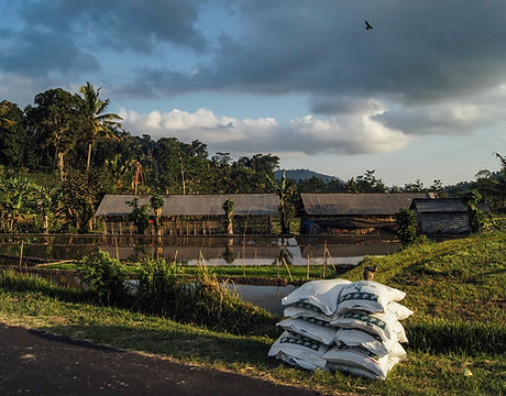 Fertilizer Delivery
