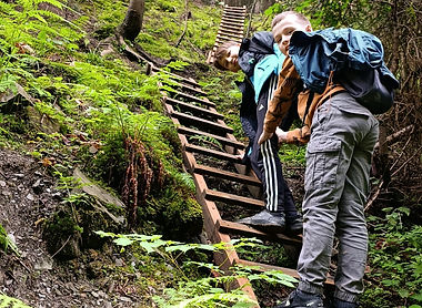 82c27737-79b8-4d35-be75-b192b161a7b6_edi