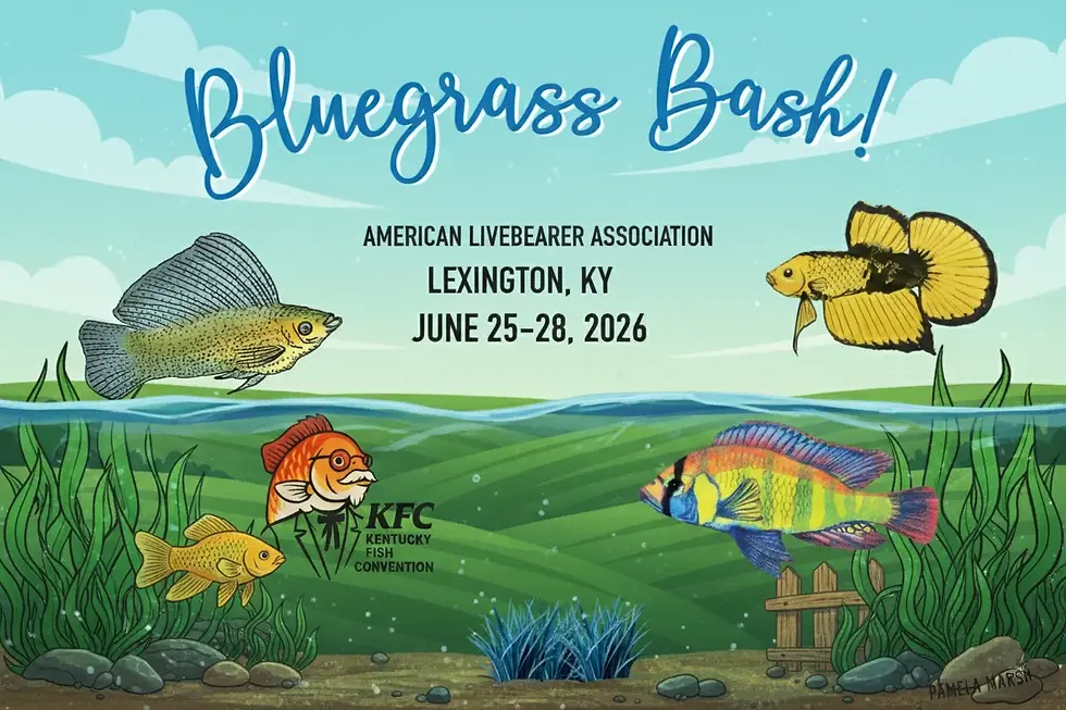 Bluegrass Bash in Lexington, KY
