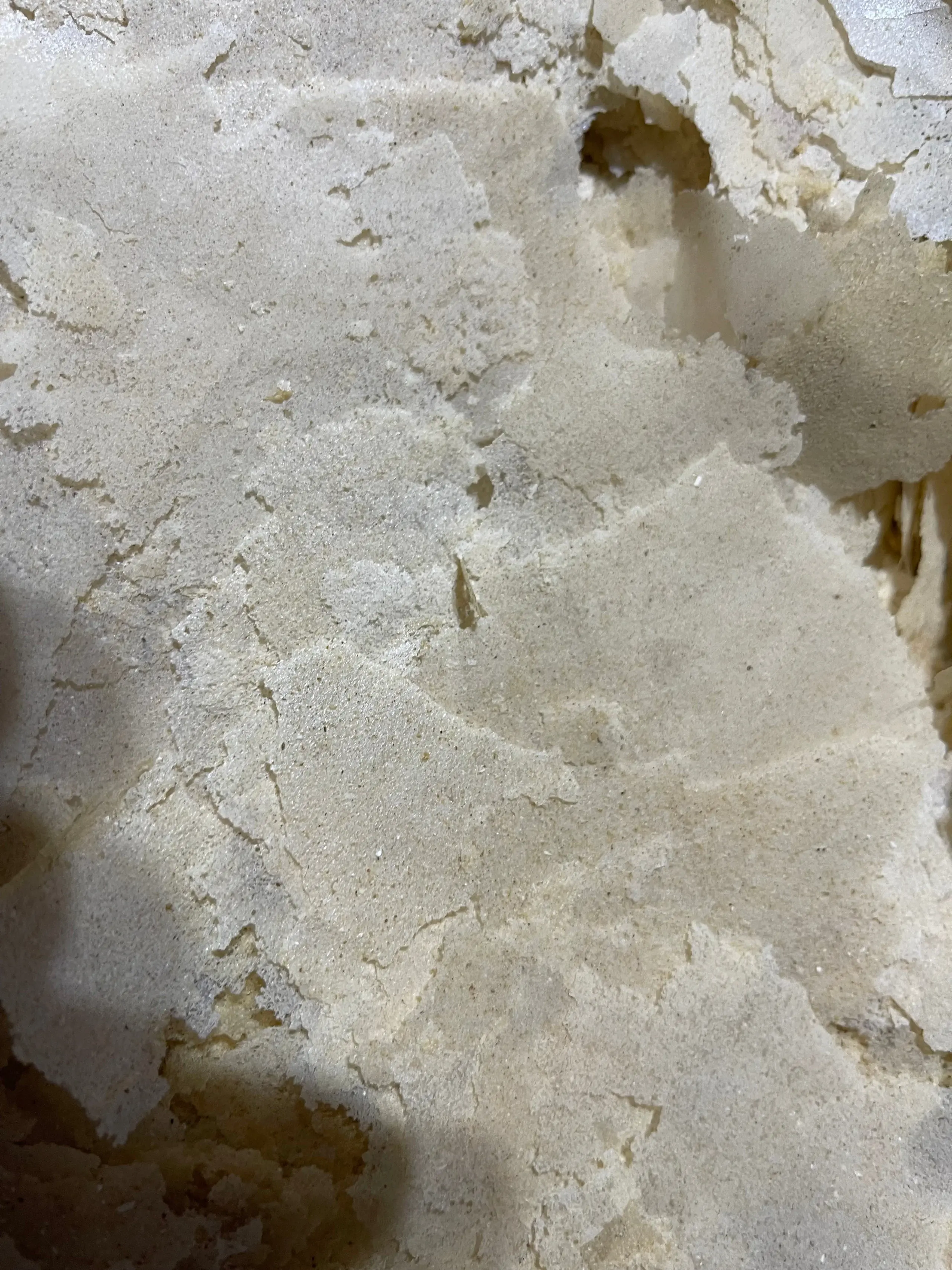 Premium Soldier Fly Larvae Flake