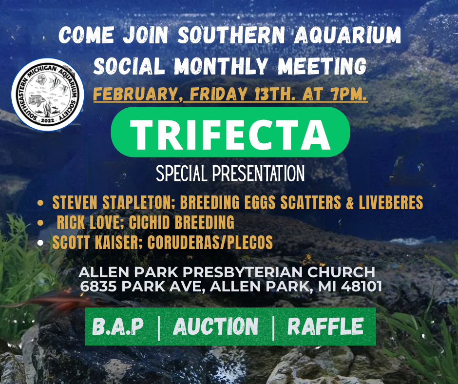February Meeting - TRIFECTA Special Presentation