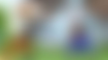 Hyper Dragon Ball Z: il picchiaduro 2D realizzato da un fan disponibile gratuitamente!