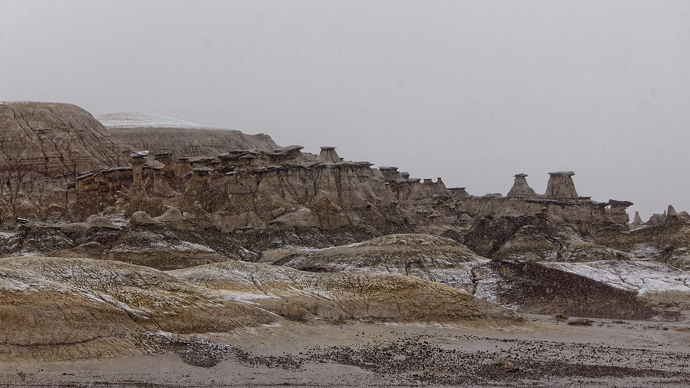 Bisti Snowstorm 2017 #50